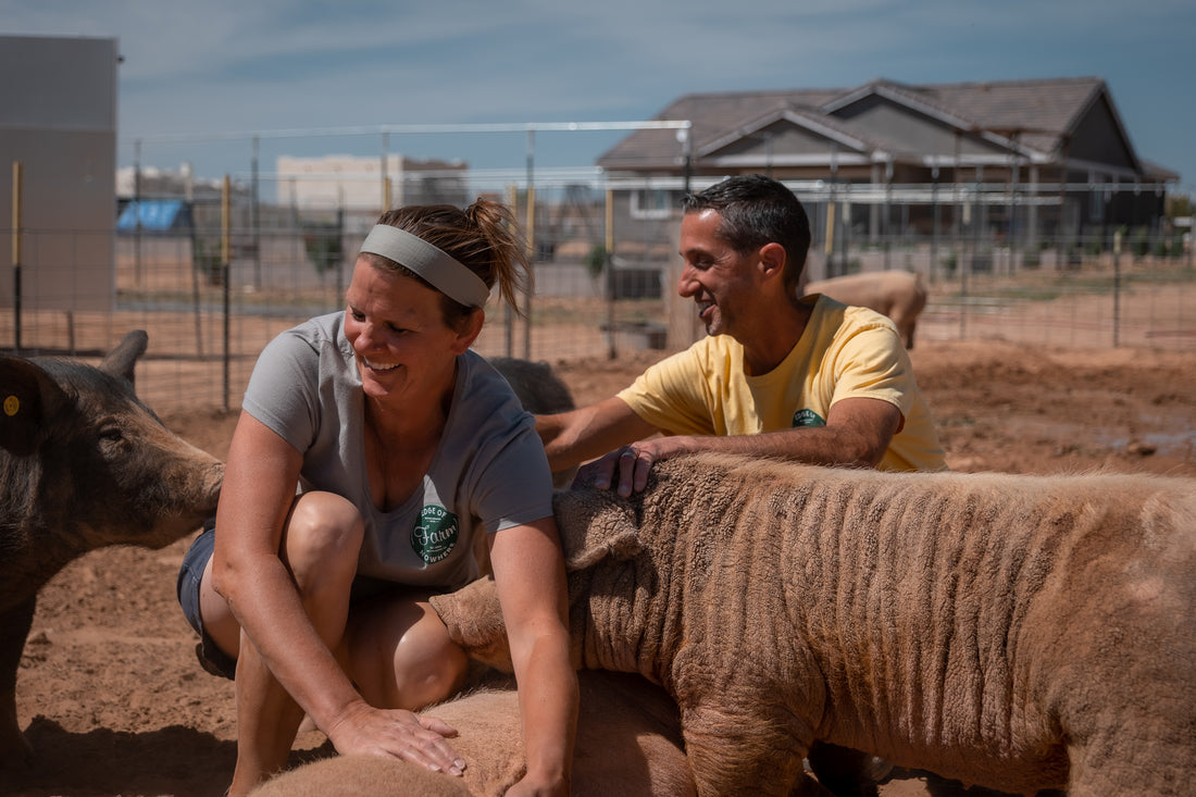 Watch how this couple built a homestead on the edge of nowhere