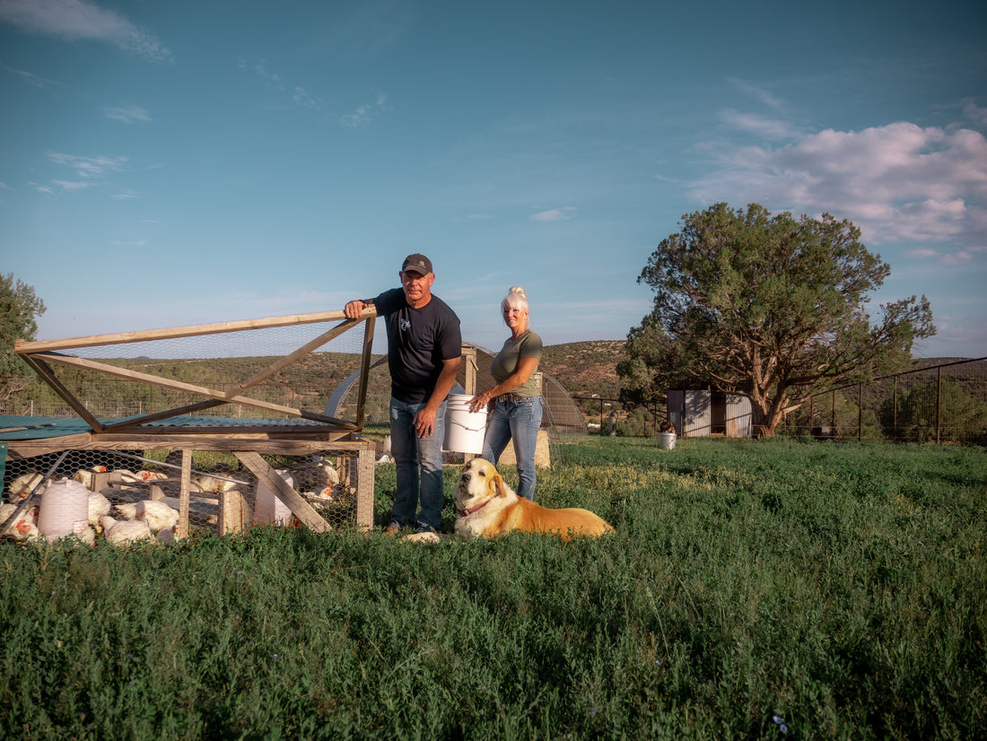 Watch how this couple transformed the desert into a homestead paradise