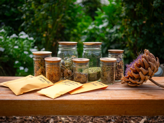 Watch how to save and store seeds from your own garden