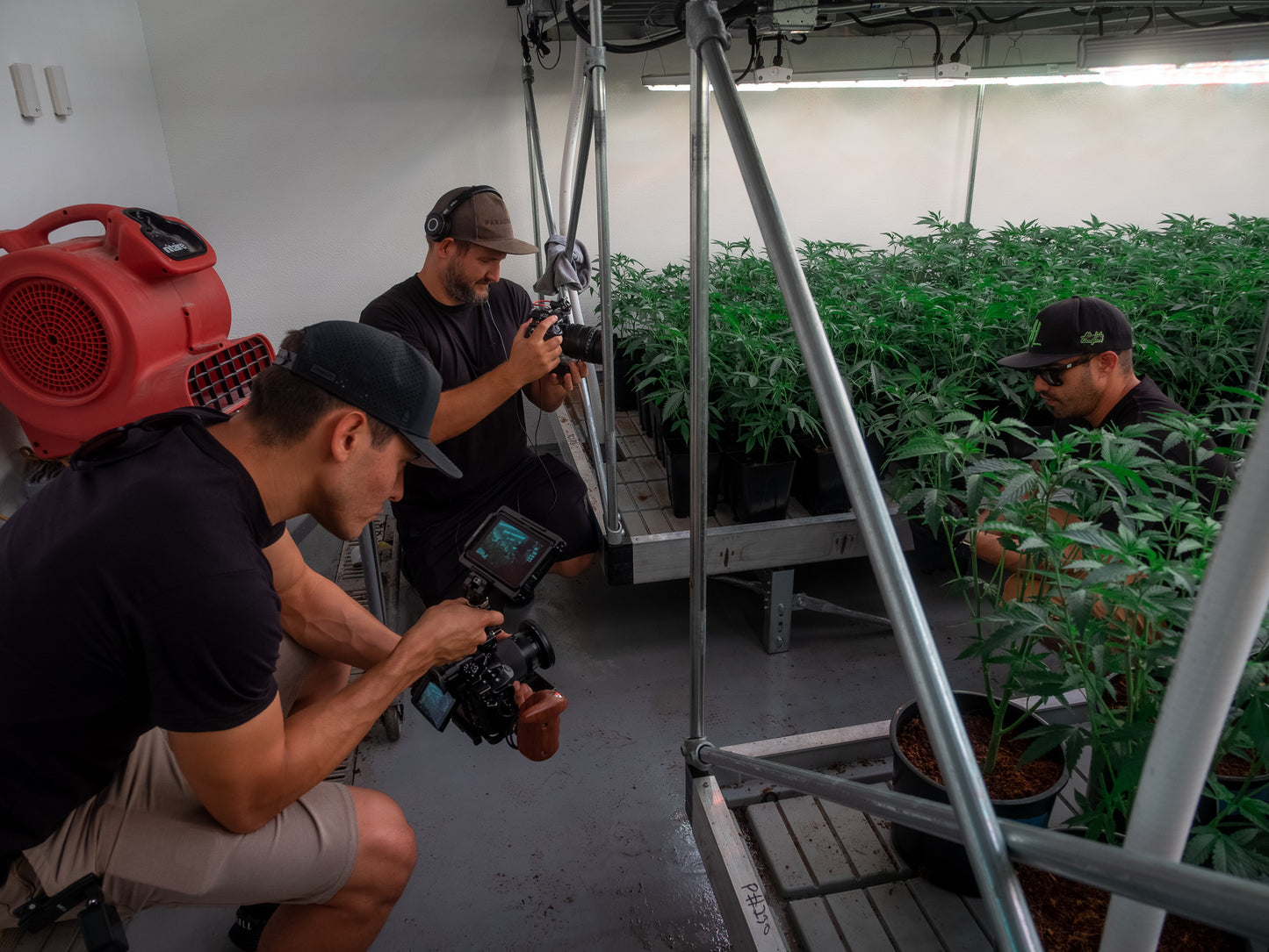 Video Production: Custom Content for Any & Every Platform