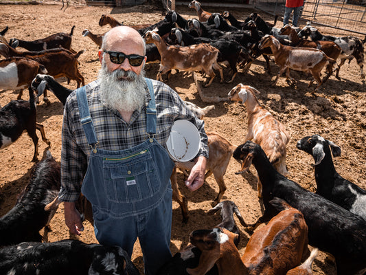 Watch how this dairy farmer milks goats and makes cheese