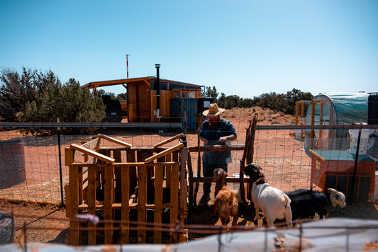 Watch how one man affordably built his homestead from scratch