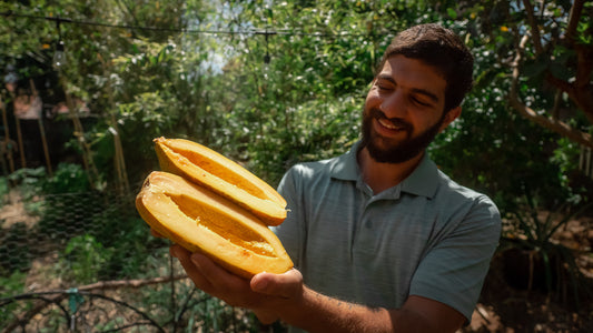 Watch how this gardener grew his own backyard food forest