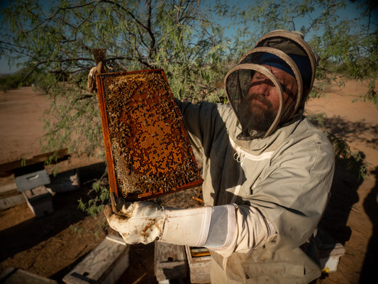 Watch how this beekeeper turns honey into money