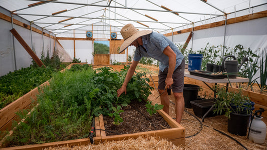 Watch how this desert homestead collects rainwater for drinking