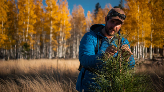 Watch this tour guide reveal the hidden secrets in nature