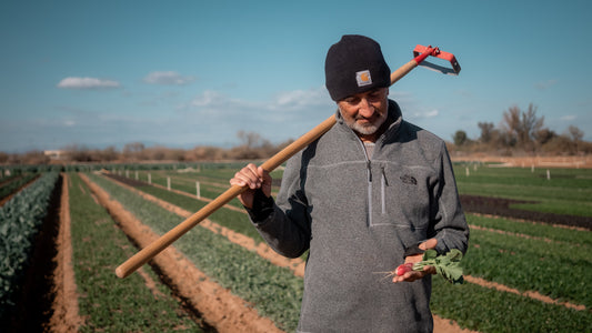 Watch how this organic farmer grows food in the desert