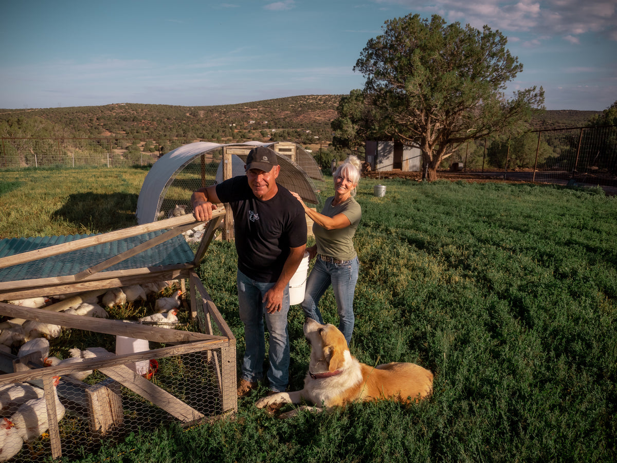A couple spending time outdoors with their dogs