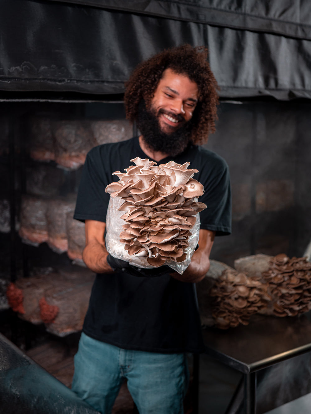 Mushroom cultivation at Southwest Mushrooms
