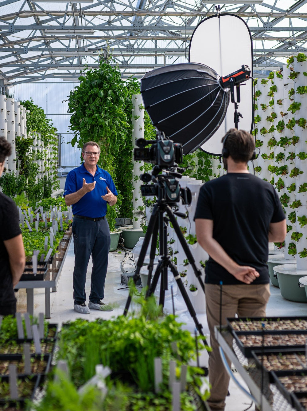 A camera and lighting setup for an on-location interview at a vertical garden